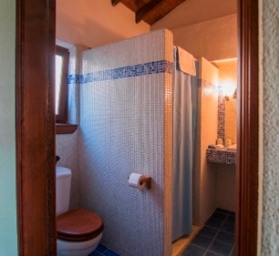 bathroom with walk-in shower